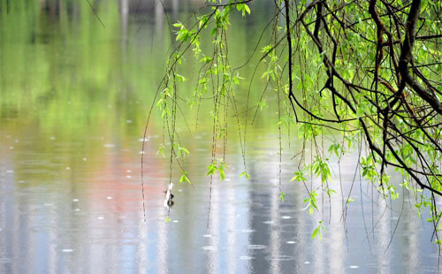 雨季的建筑守護 —— 吉成建筑裝飾的產(chǎn)品在雨季的應(yīng)用實踐